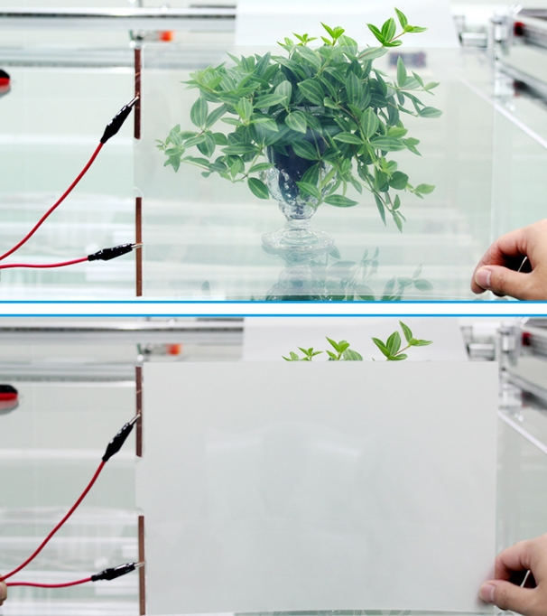 Smart glass /Smart glass film 